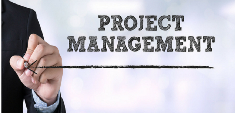 Professional in Project Management
